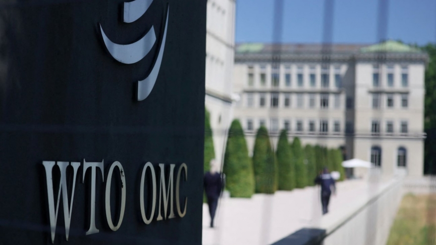 WTO giảm dự báo tăng trưởng, cảnh báo suy thoái sâu giữa vòng xoáy thương chiến